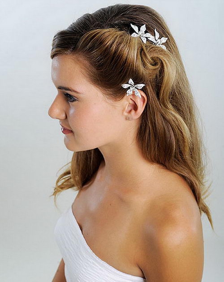 Coiffure pince à cheveux avec barrettes