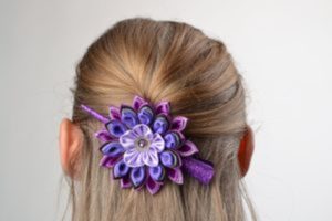 Coiffure pince à cheveux avec barrettes