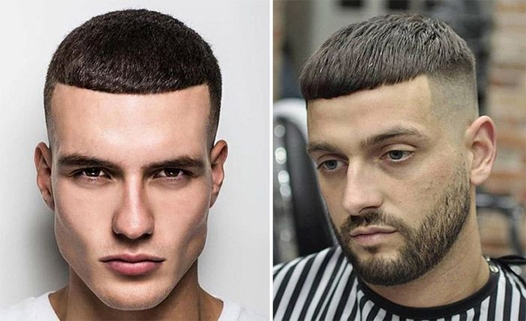 Coiffure faucon pour homme