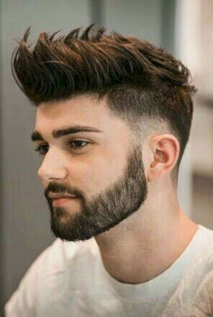 Coiffure faucon pour homme
