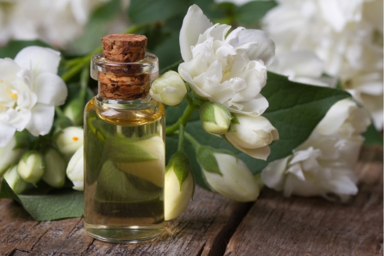 Huile de jasmin pour les cheveux avantages et applications