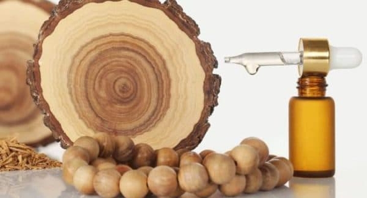 Huile de jasmin pour les cheveux avantages et applications