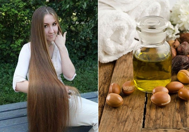 Application d'huile d'olive pour les cheveux