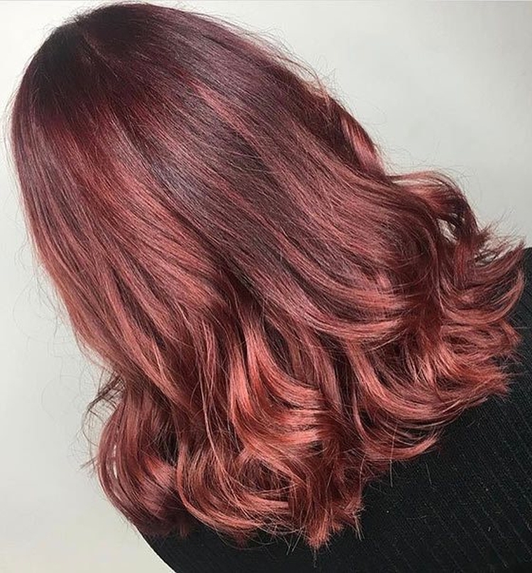Photo couleur de cheveux acajou