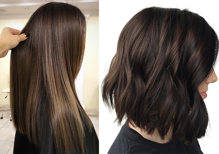 Coloration complexe des cheveux pour les brunes photo