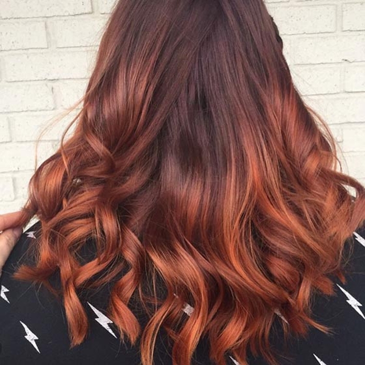 Photo couleur de cheveux acajou