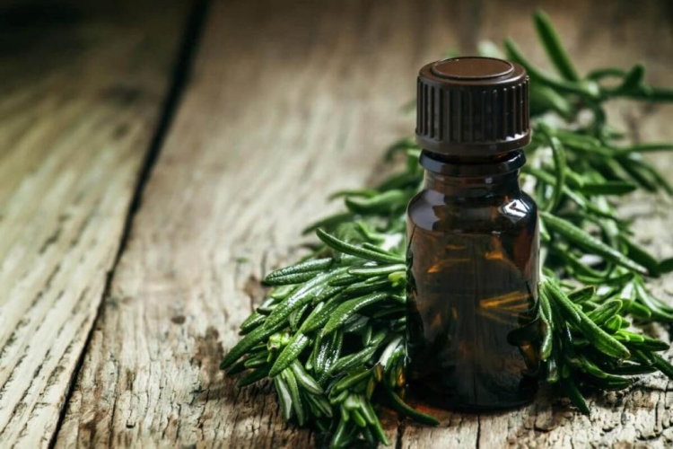 Application d'huile d'olive pour les cheveux