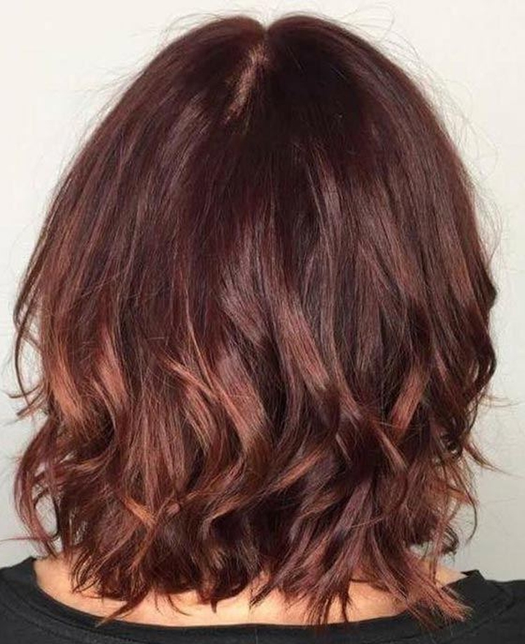 Photo couleur de cheveux acajou