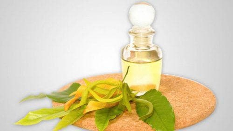 Masque capillaire pour pointes fourchues à la maison