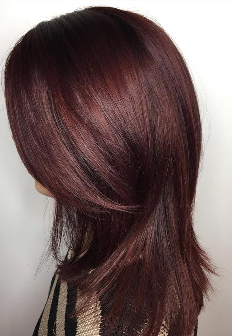 Photo couleur de cheveux acajou