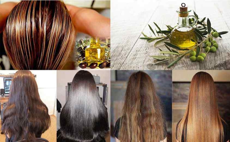 Application d'huile d'olive pour les cheveux