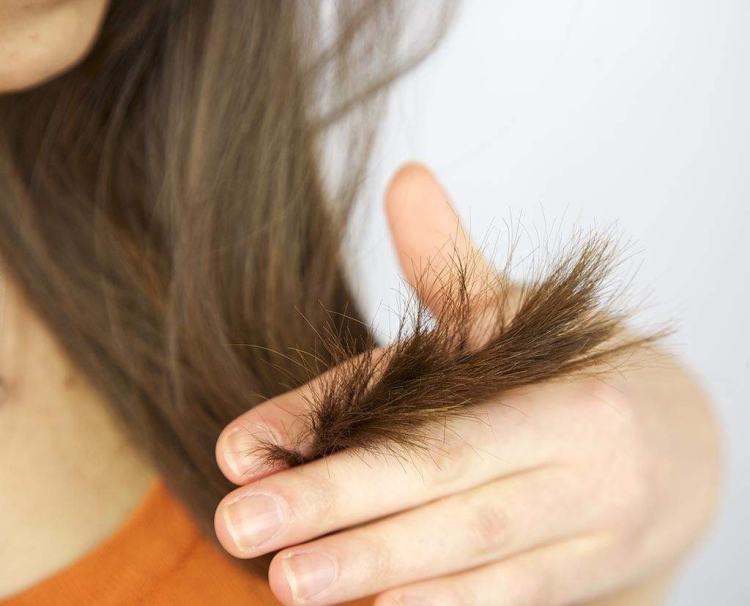 Masque capillaire pour pointes fourchues à la maison