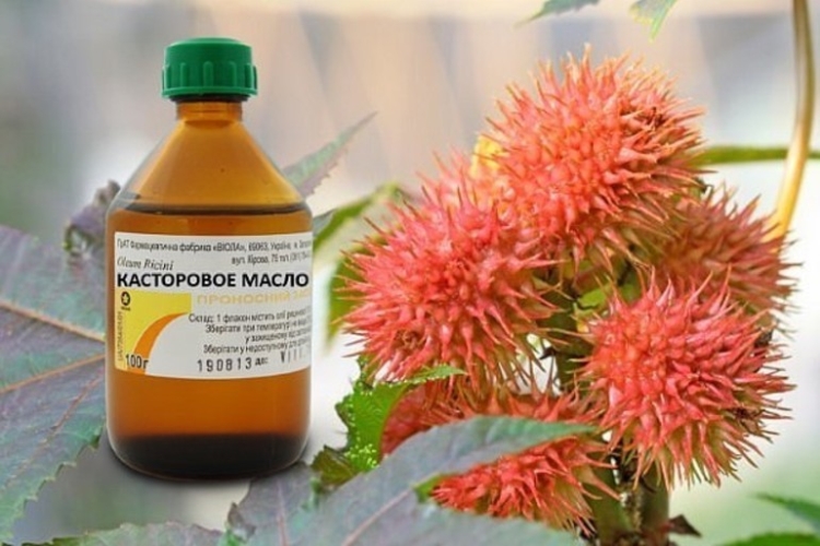 Huile de ricin pour cheveux à la maison