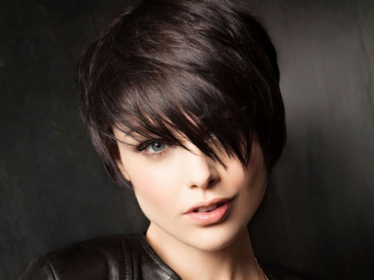 Calendrier de coupe de cheveux pour l'année