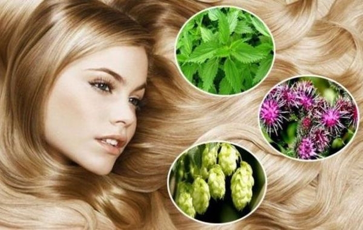 Masques antipelliculaires faits maison pour les cheveux