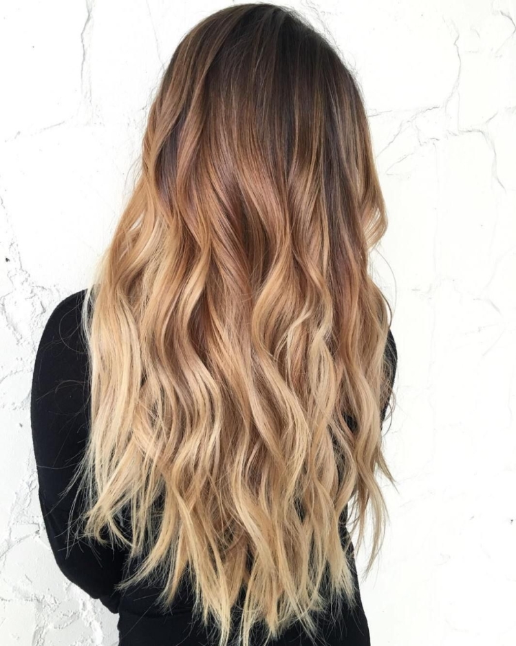 Cheveux bruns aux pointes blanches