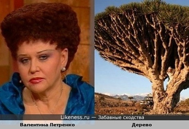 Les coiffures de Valentina Petrenko