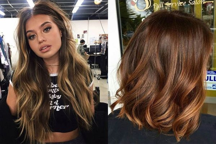 Cheveux bruns aux pointes blanches