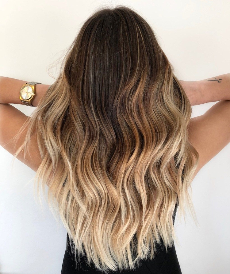 Cheveux bruns aux pointes blanches