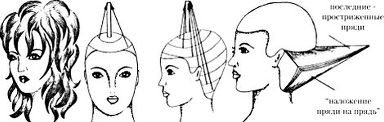 Échelle de coupe de cheveux pour cheveux longs