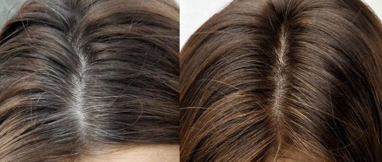 Cheveux bruns aux pointes blanches