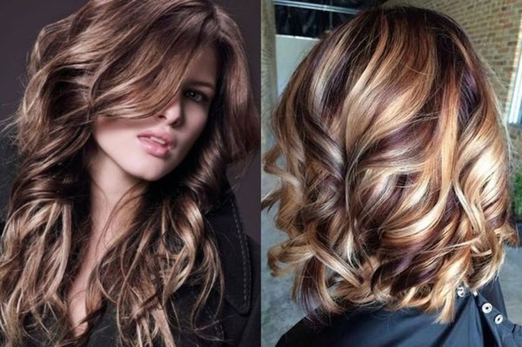 Cheveux bruns aux pointes blanches