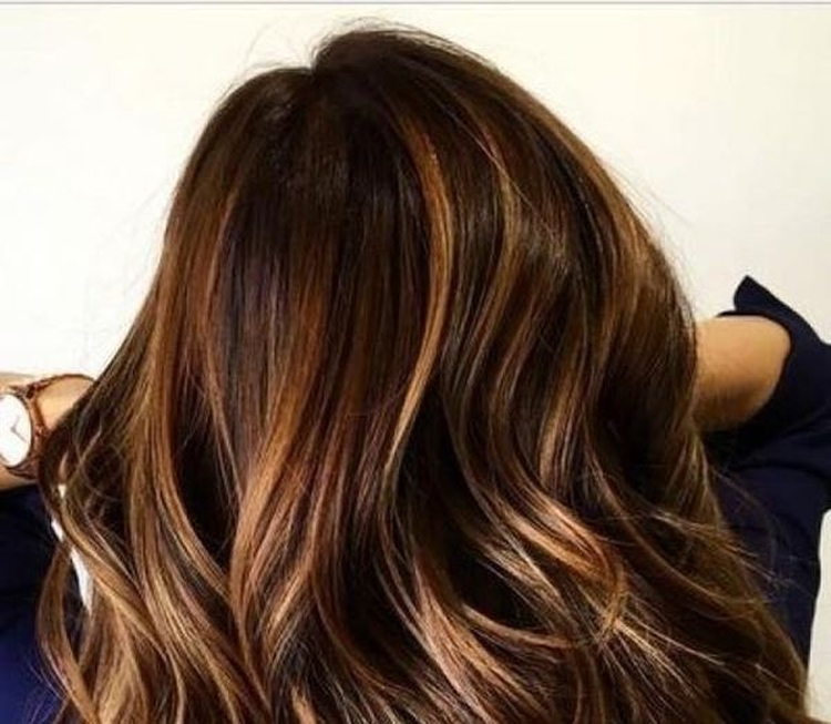 Cheveux bruns aux pointes blanches