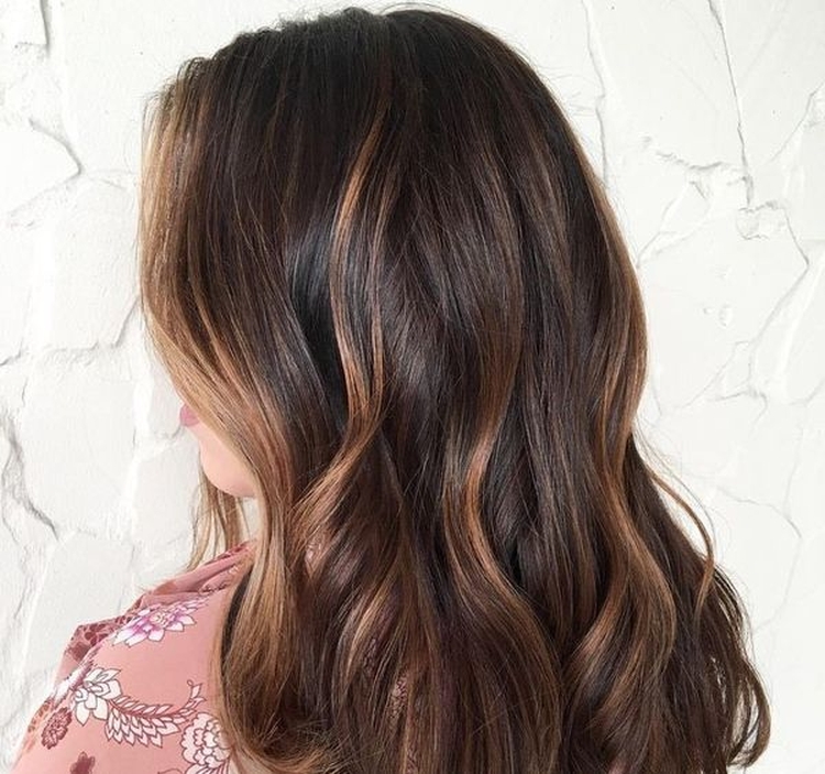 Cheveux bruns aux pointes blanches