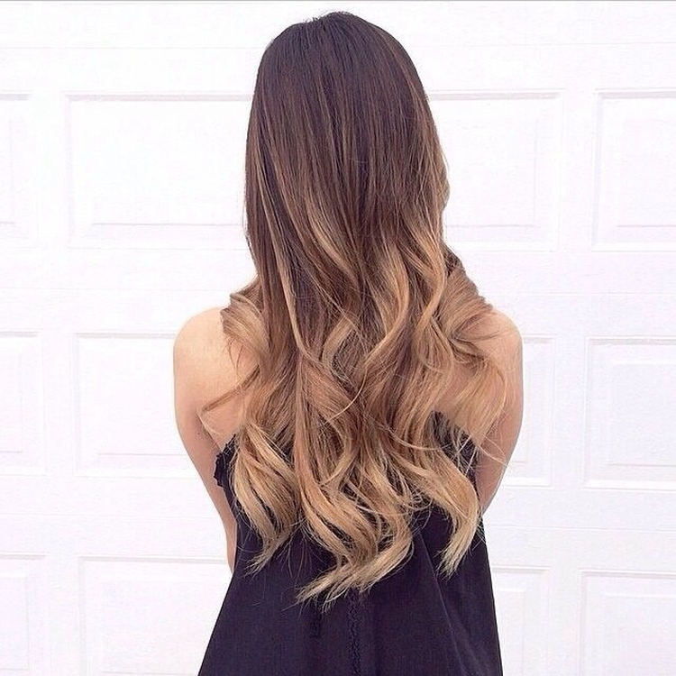 Cheveux bruns aux pointes blanches