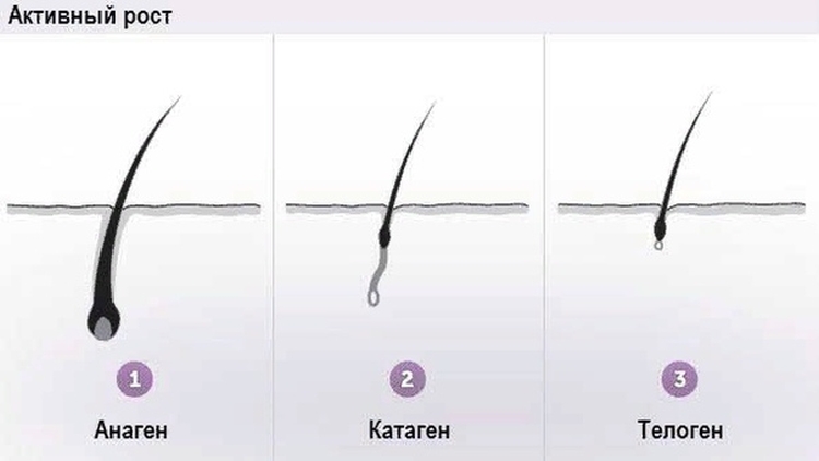Comment restaurer les cils après le mascara