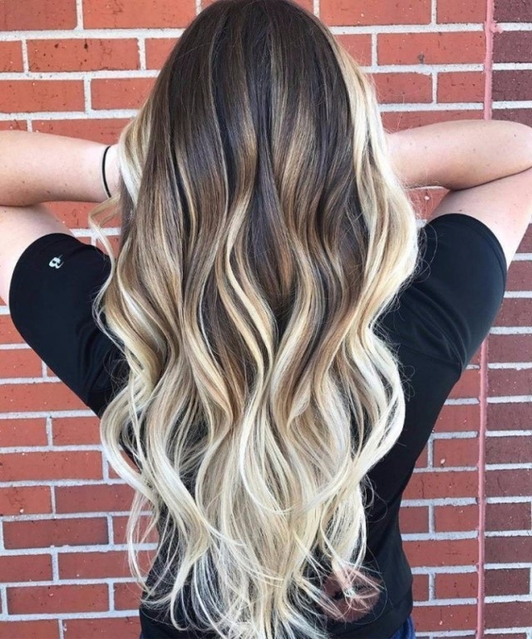 Cheveux bruns aux pointes blanches