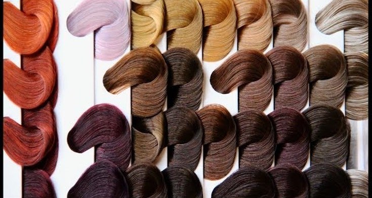 Palette de couleurs Palette