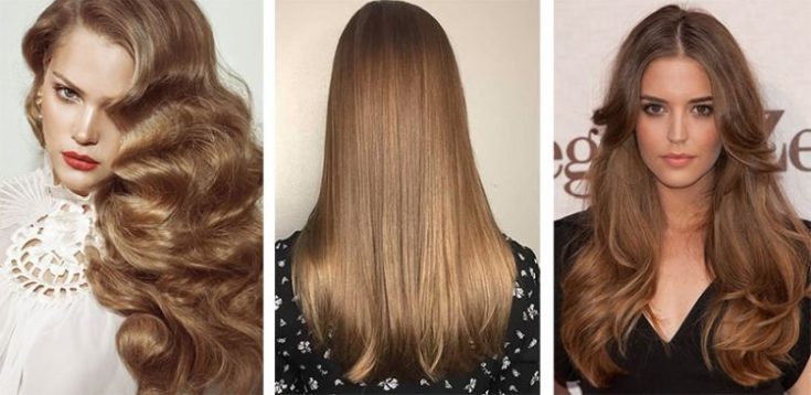 Couleur de cheveux noisette