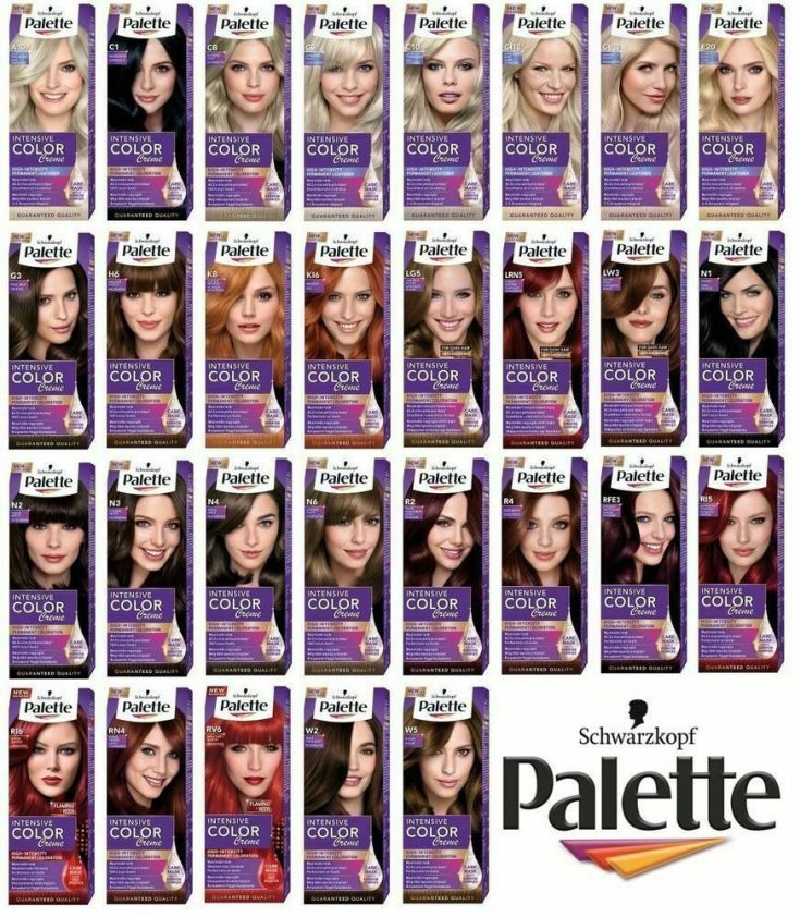 Palette de couleurs Palette