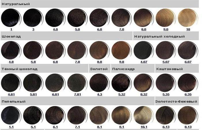 Une palette complète de couleurs de cheveux kapous par numéros avec des exemples de noms et de photos