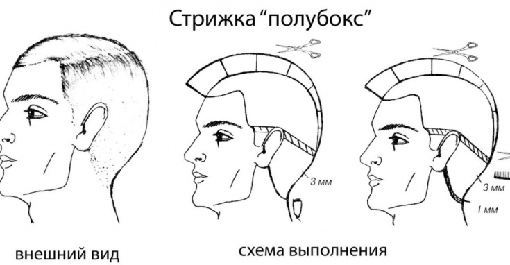Coiffure homme semi-boîte