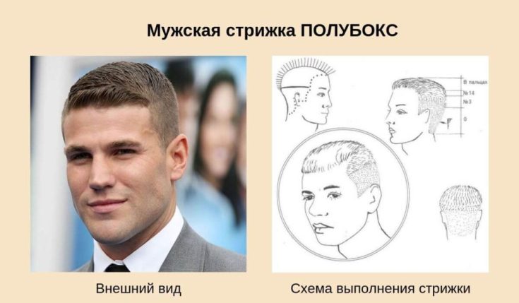 Coiffure homme semi-boîte