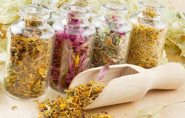 Décoctions à base de plantes pour la perte de cheveux