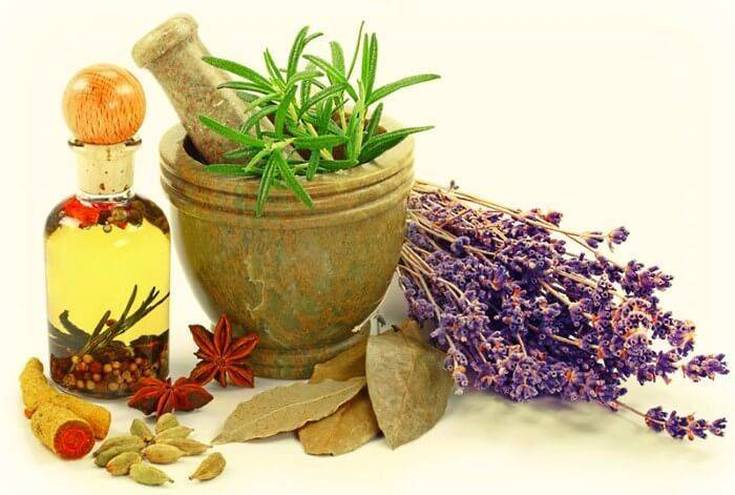 Décoctions à base de plantes pour la perte de cheveux