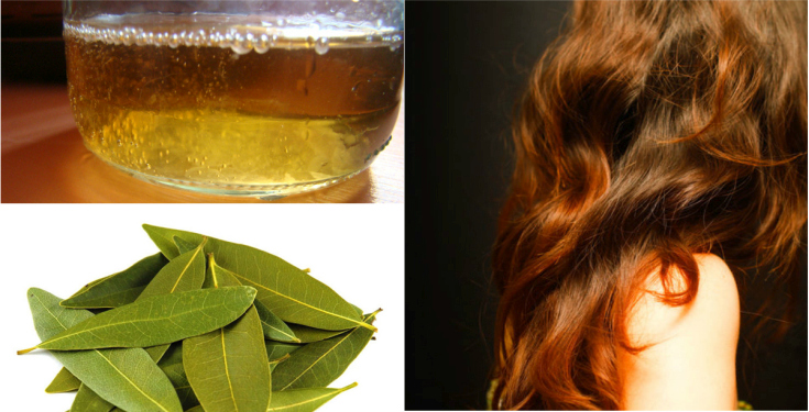 Décoctions à base de plantes pour la perte de cheveux