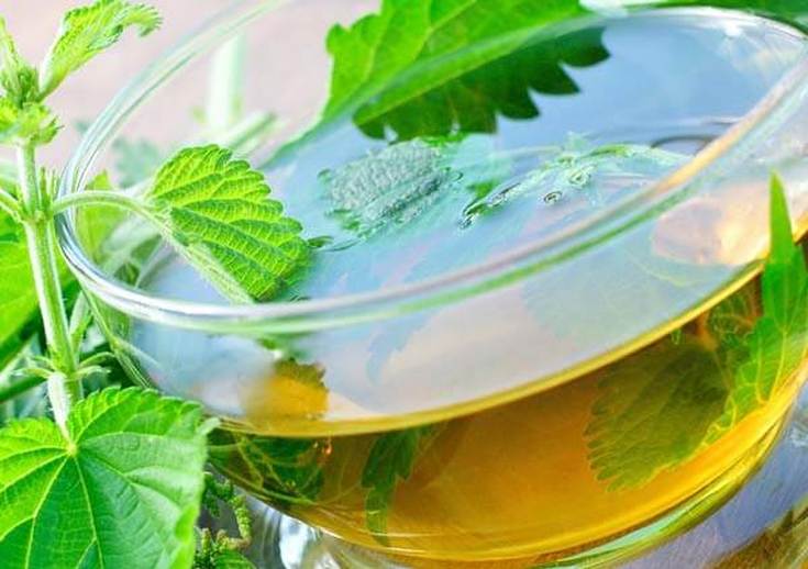 Décoctions à base de plantes pour la perte de cheveux