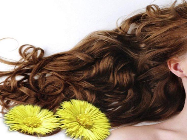 Décoctions à base de plantes pour la perte de cheveux