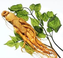 Décoctions à base de plantes pour la perte de cheveux