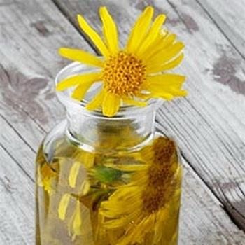 Décoctions à base de plantes pour la perte de cheveux