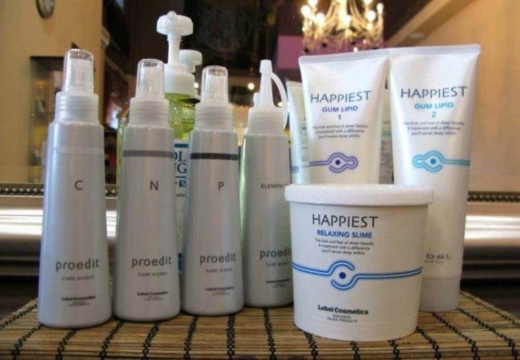 Le bonheur absolu pour les cheveux Lebel instructions étape par étape