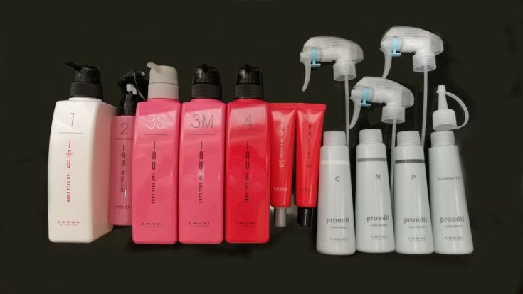 Le bonheur absolu pour les cheveux Lebel instructions étape par étape