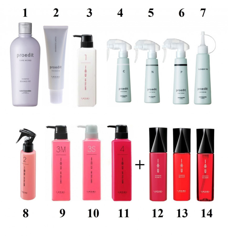 Le bonheur absolu pour les cheveux Lebel instructions étape par étape