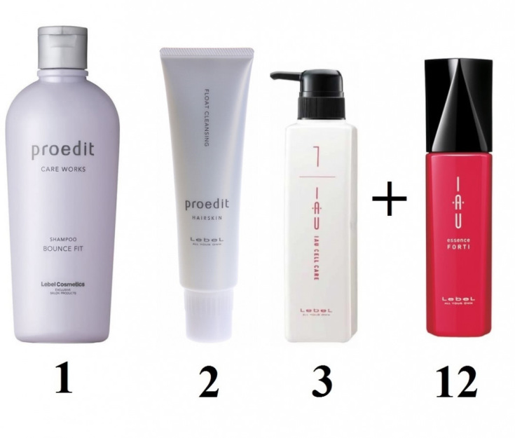 Le bonheur absolu pour les cheveux Lebel instructions étape par étape
