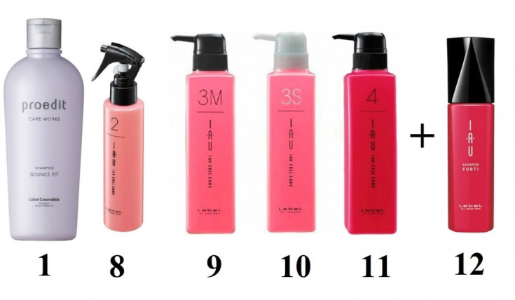Le bonheur absolu pour les cheveux Lebel instructions étape par étape