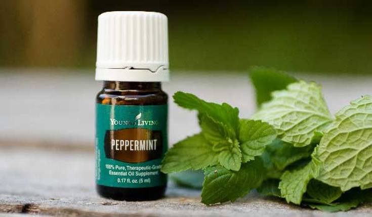Huile de menthe poivrée pour les cheveux